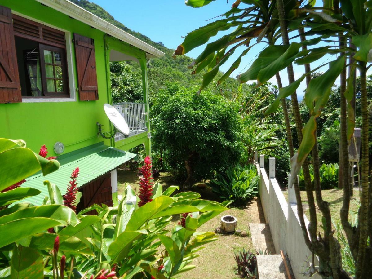 Jardin Bananier Appartement Deshaies Buitenkant foto