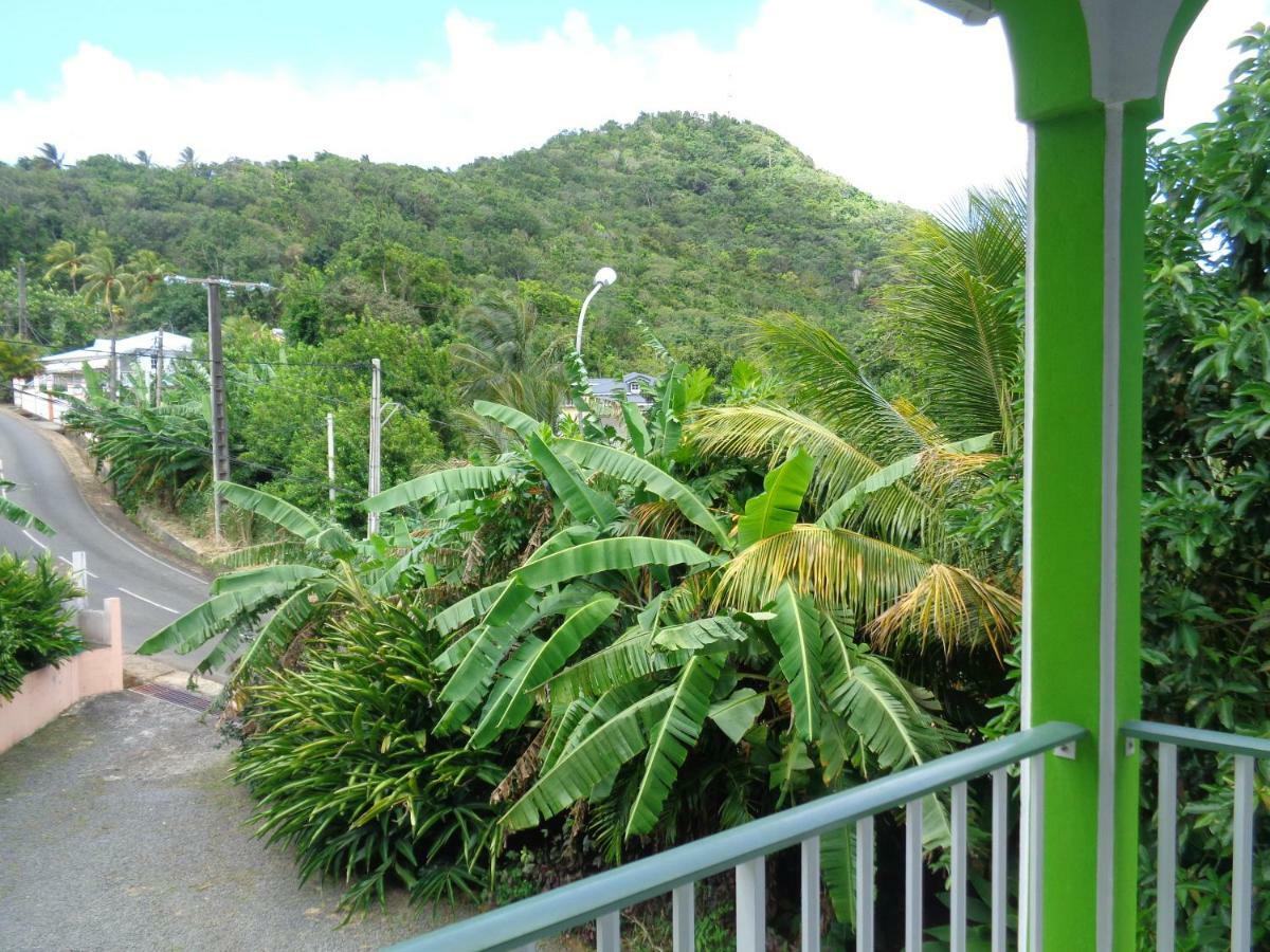 Jardin Bananier Appartement Deshaies Buitenkant foto